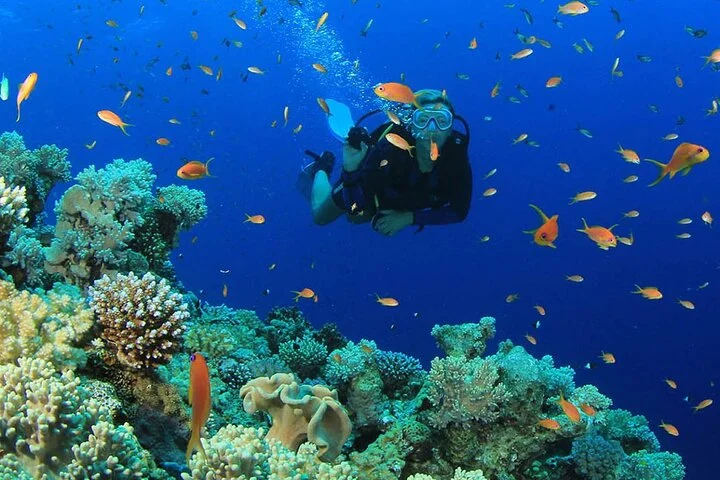 Scuba Diving Experience Tour from Side