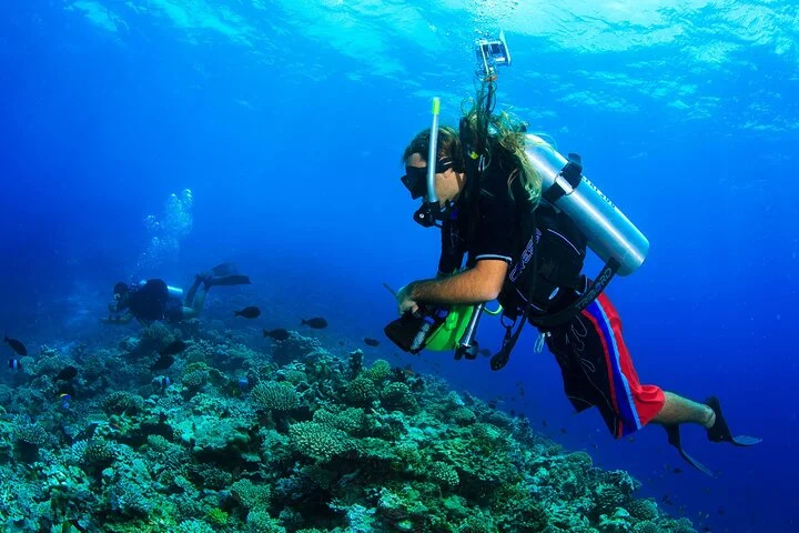 Scuba Diving Experience Tour from Side