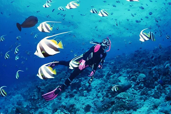 Scuba Diving in Antalya