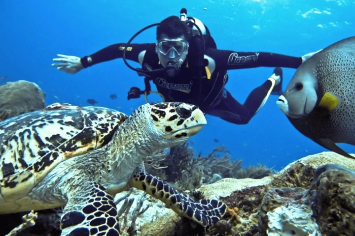 Scuba Diving Tour