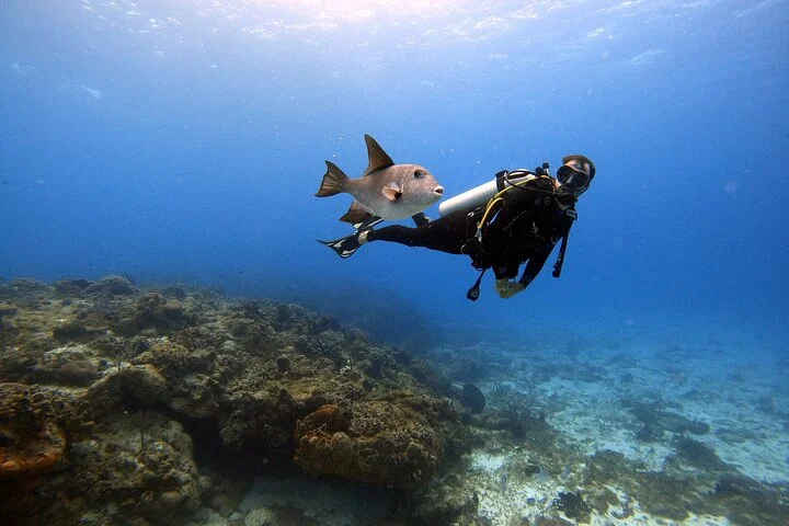 Scuba Diving Underwater