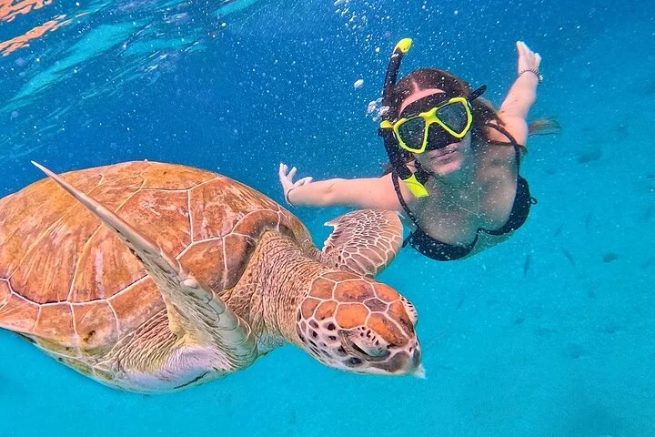 Sea Turtle Swimming And Waterfal Boat Trip