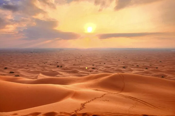 Shared Desert Safari Tour Dubai with Dinner Included