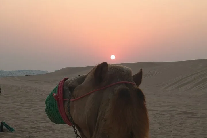 Shared Desert Safari Tour Dubai with Dinner Included