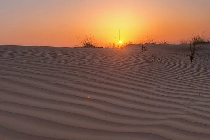 Shared Desert Safari Tour Dubai with Dinner Included