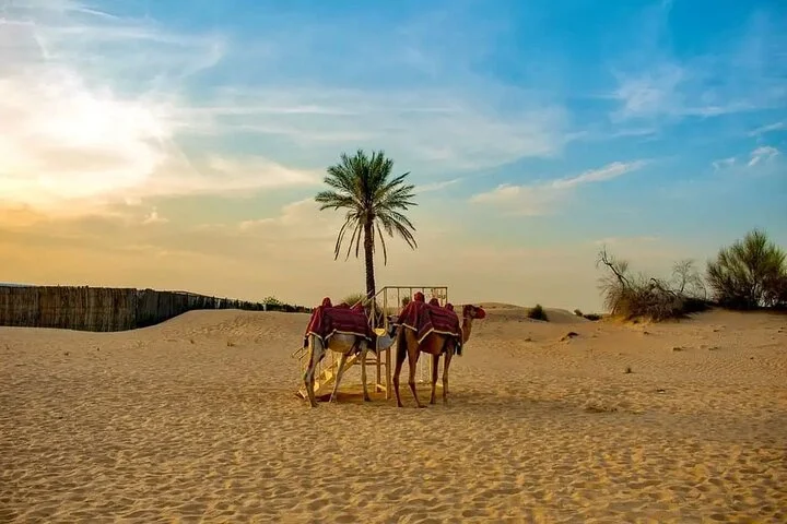 Shared Morning Desert Safari with Breakfast