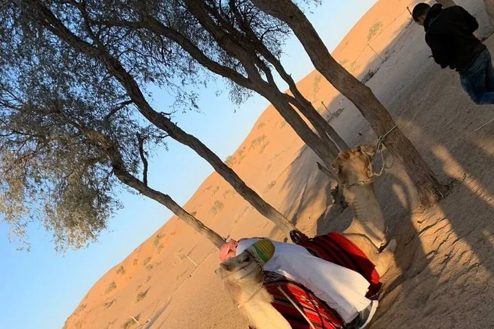 Shared Morning Safari