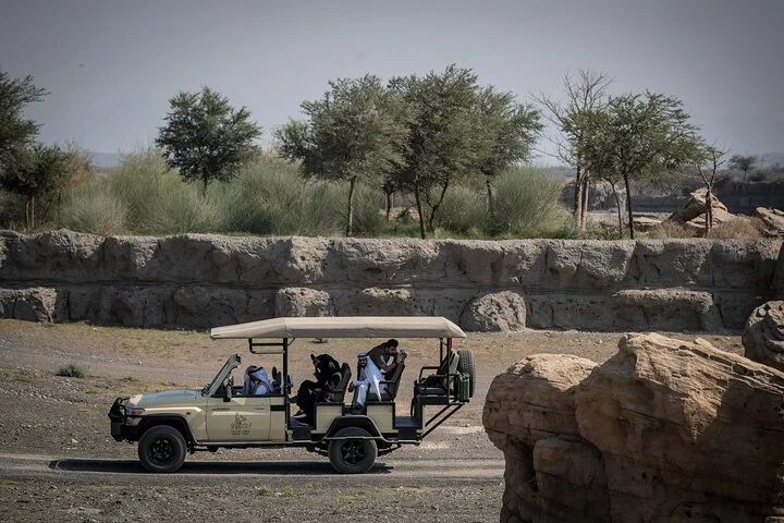 Sharjah Safari: A Wildlife Adventure Like No Other