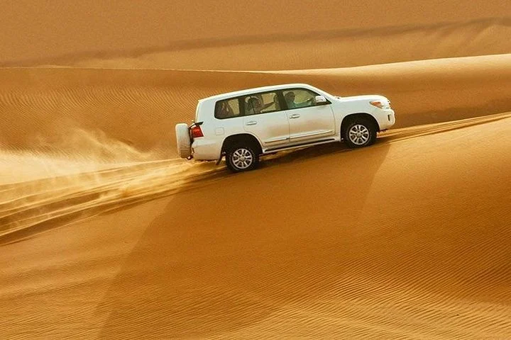Shore Excursions of Dubai City Tour followed by Desert Safari