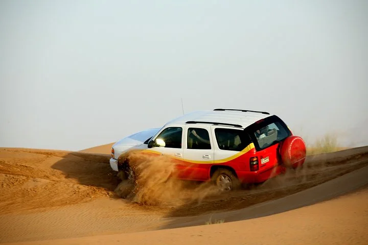 Shore Excursions of Dubai City Tour followed by Desert Safari