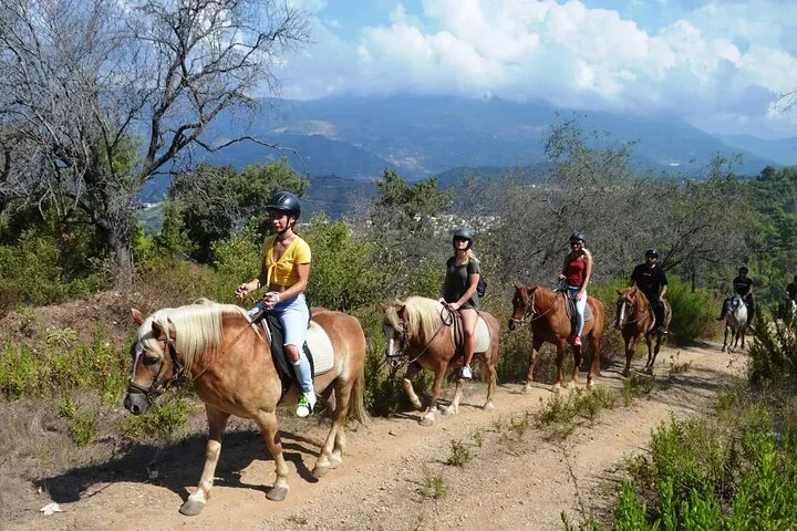 Side Horse Safari in Forest and Beach with Transfer