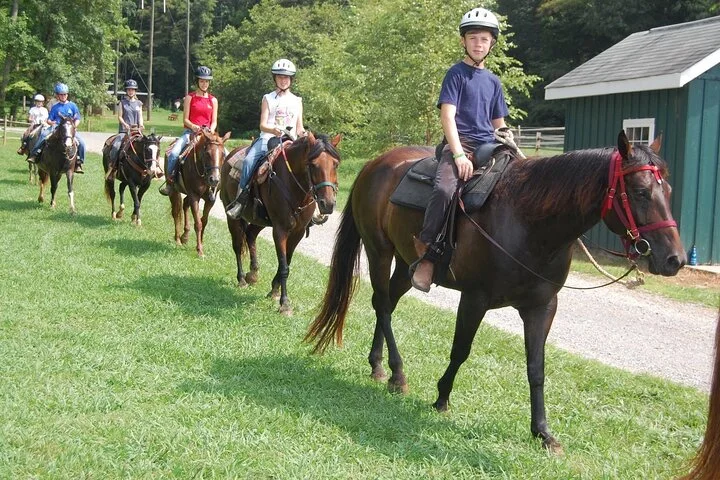 Side Horse Safari in Forest and Beach with Transfer