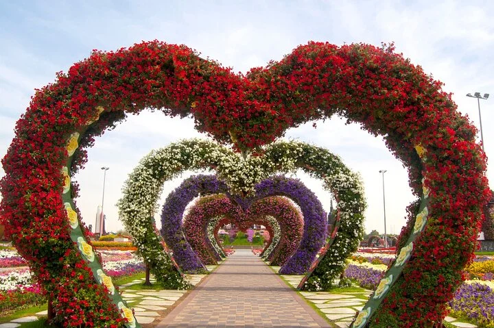 Skip-the-line Ticket for Dubai Miracle Garden