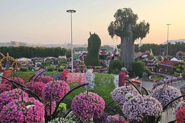 Skip-the-line Ticket for Dubai Miracle Garden