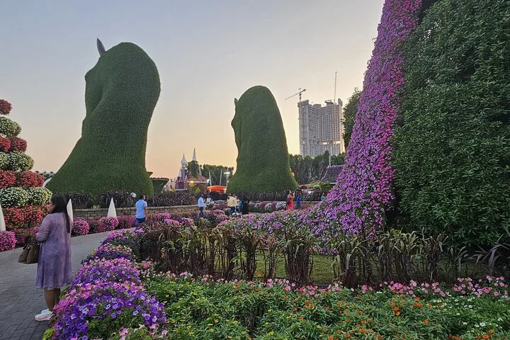 Skip-the-line Ticket for Dubai Miracle Garden