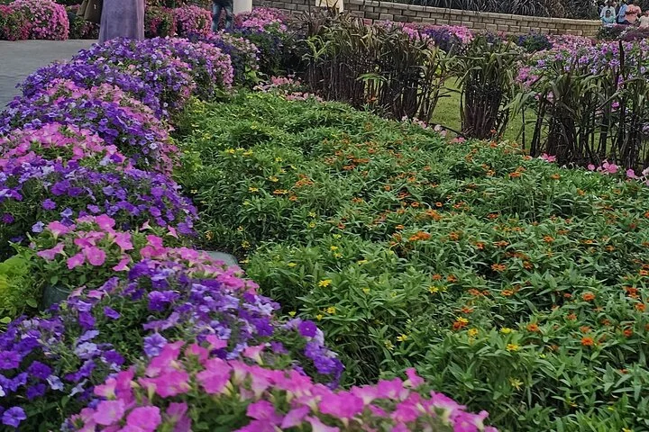 Skip-the-line Ticket for Dubai Miracle Garden