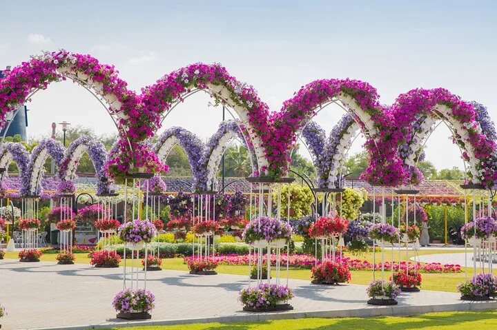 Skip-the-line Ticket for Dubai Miracle Garden