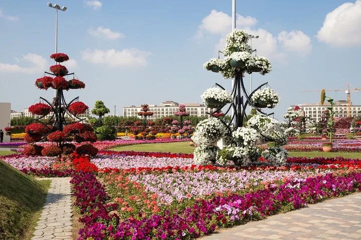 Skip-the-line Ticket for Dubai Miracle Garden