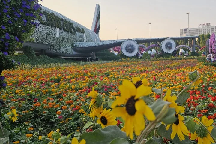 Skip-the-line Ticket for Dubai Miracle Garden