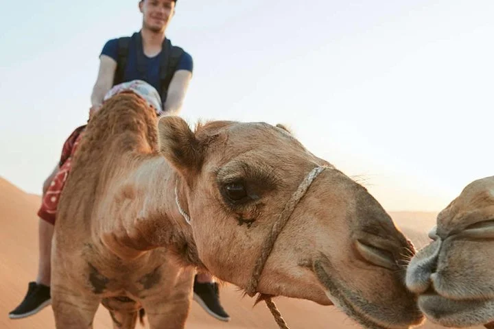 Standard Dubai 4x4 Desert Safari - Sunset & BBQ Dinner