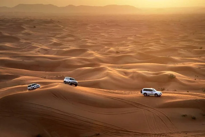 Sun Downer Desert Safari With Camel Trekking, BBQ and Buffet Dinner