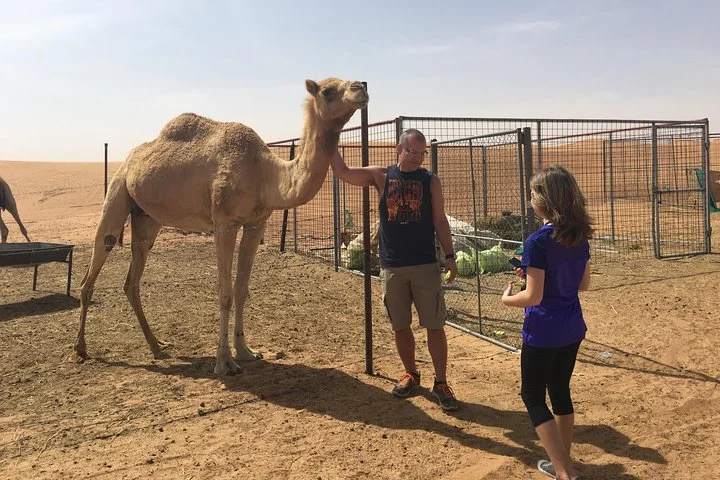 Sun Rise Desert Safari & Sandboarding (Private Vehicle)