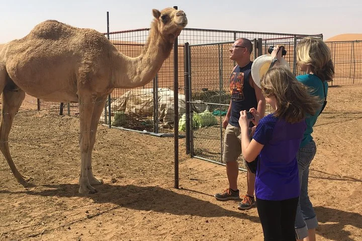 Sun Rise Desert Safari & Sandboarding (Private Vehicle)