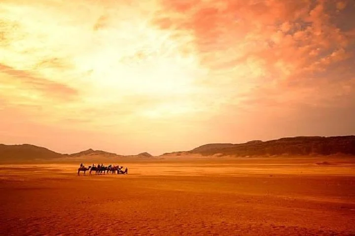 Sunrise Desert Safari