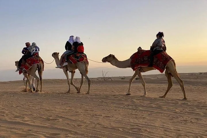 Sunrise Desert Safari