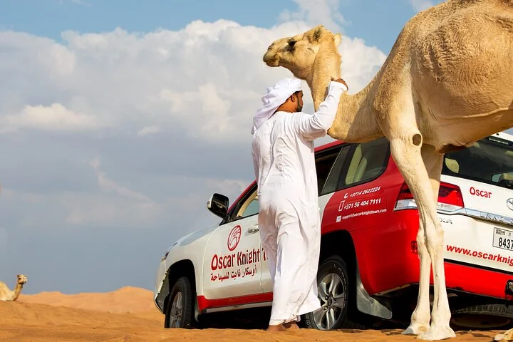 Sunset Camel Trekking, Falcon Show & VIP BBQ Dinner