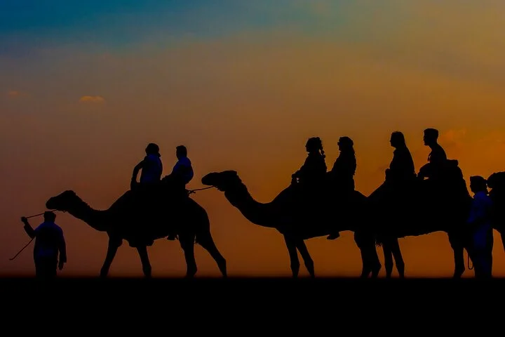 Sunset Camel Trekking, Falcon Show & VIP BBQ Dinner