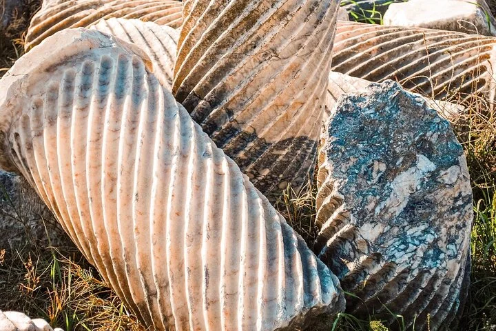 Termessos, Antalya Museum, and Kaleici Day Tour