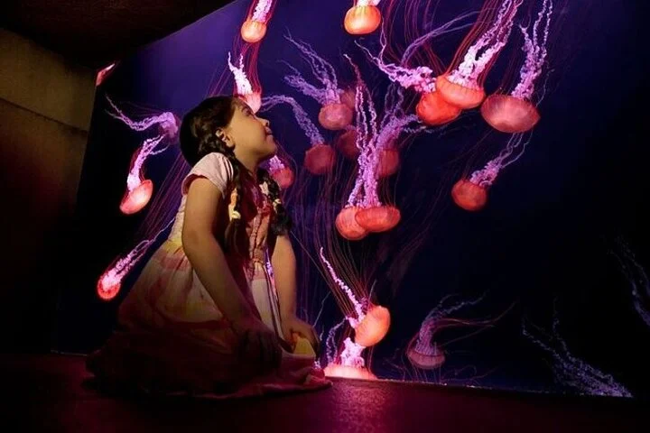 The Lost World Aquarium