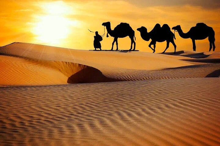 Thrilling dune bashing with VIP Desert camp delicious BBQ & shows