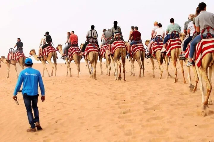 Thrilling Red Dune Desert Safari