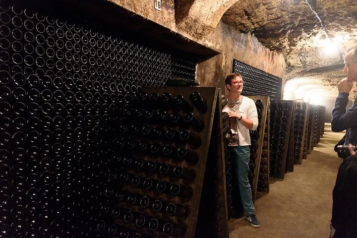 Tour of a Vineyard, Winery & Cellar with Wine Tasting in Vouvray, Loire Valley