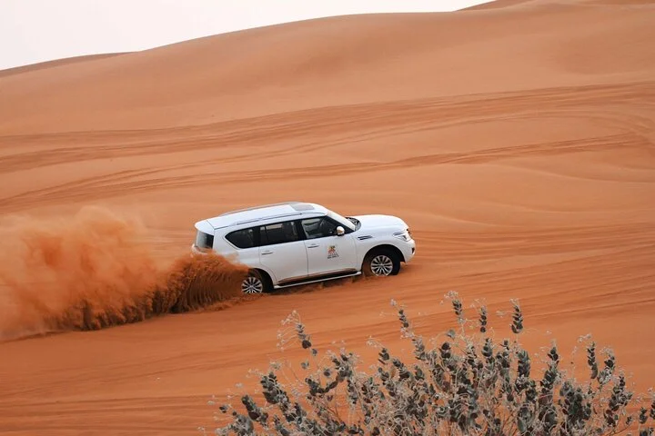 Unforgettable Standard Desert Safari Experience with ICL Lama