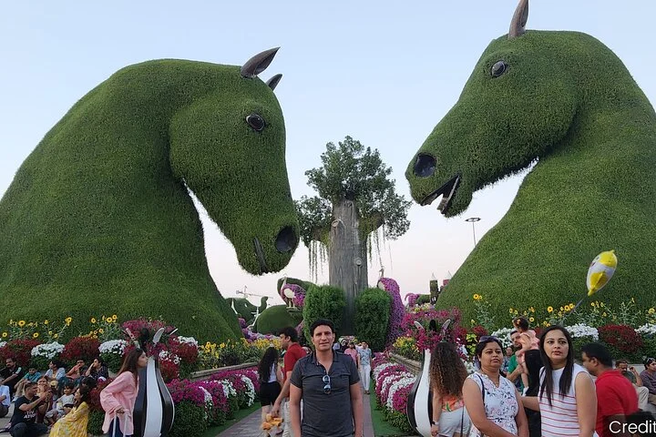 United Arab Emirates: See & Experience it ALL in 6 Days, 1st Class Custom Tours