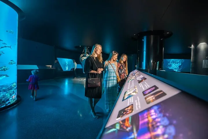 View At Palm Jumeirah Dubai