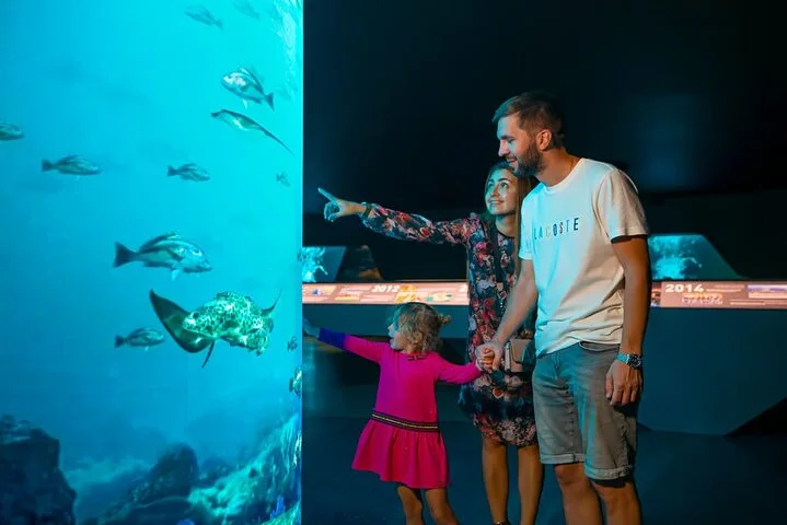 View At Palm Jumeirah Dubai