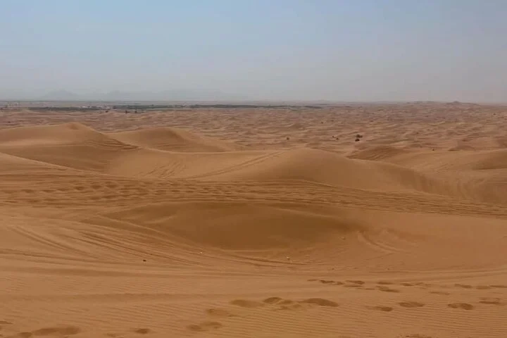 VIP Desert Safari Camel Ride Live Shows & BBQ Dinner with pick up