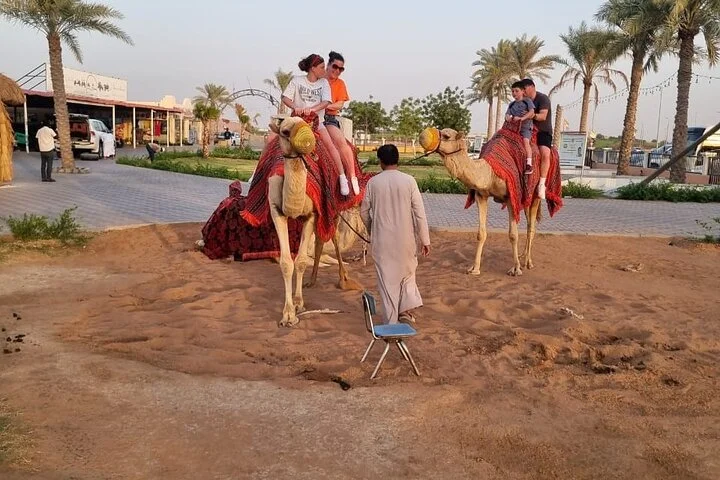VIP Desert Safari Dubai with Quad Bike, BBQ Dinner & Live Shows