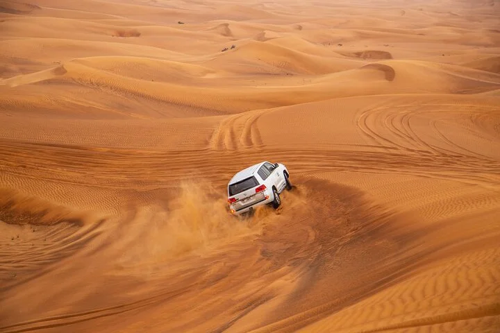 VIP Desert Safari Private & Front Area VIP Table Service