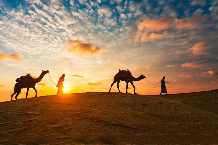 VIP Dubai Desert Safari, Camel ride Live shows and BBQ Dinner