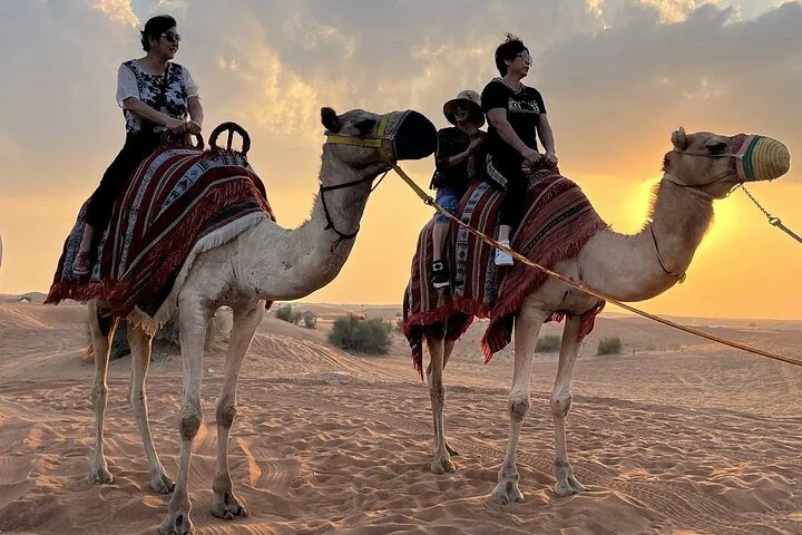 Vip Luxury Desert Safari & 5 Live Shows & Premium Quality Food