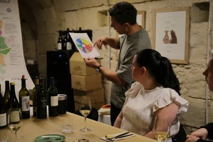 Wine Masterclass & Cheese Tasting Workshop in Bordeaux